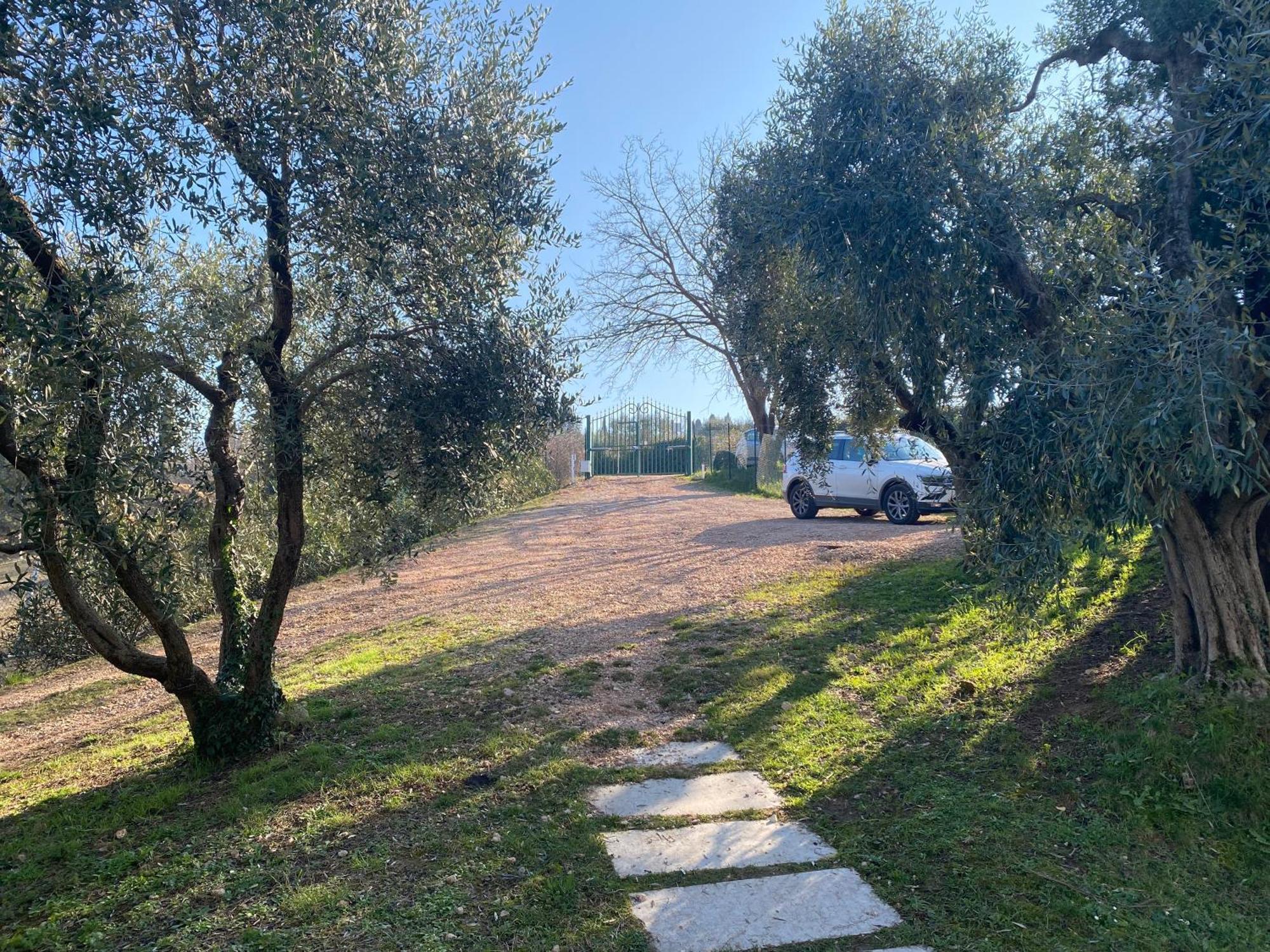 Ferienwohnung Residenza Cipressi E Olivi Verona Exterior foto